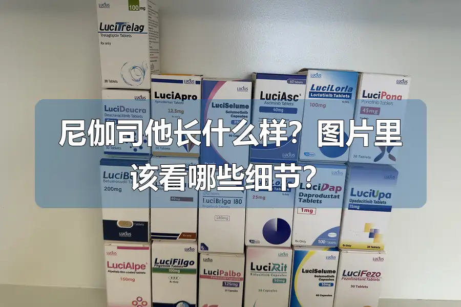 尼伽司他长什么样？图片里该看哪些细节？
